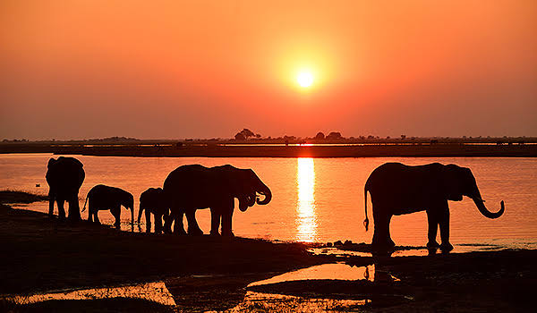 Namibia, Botswana & Simbabwe – Informationsabend zur Fernreise