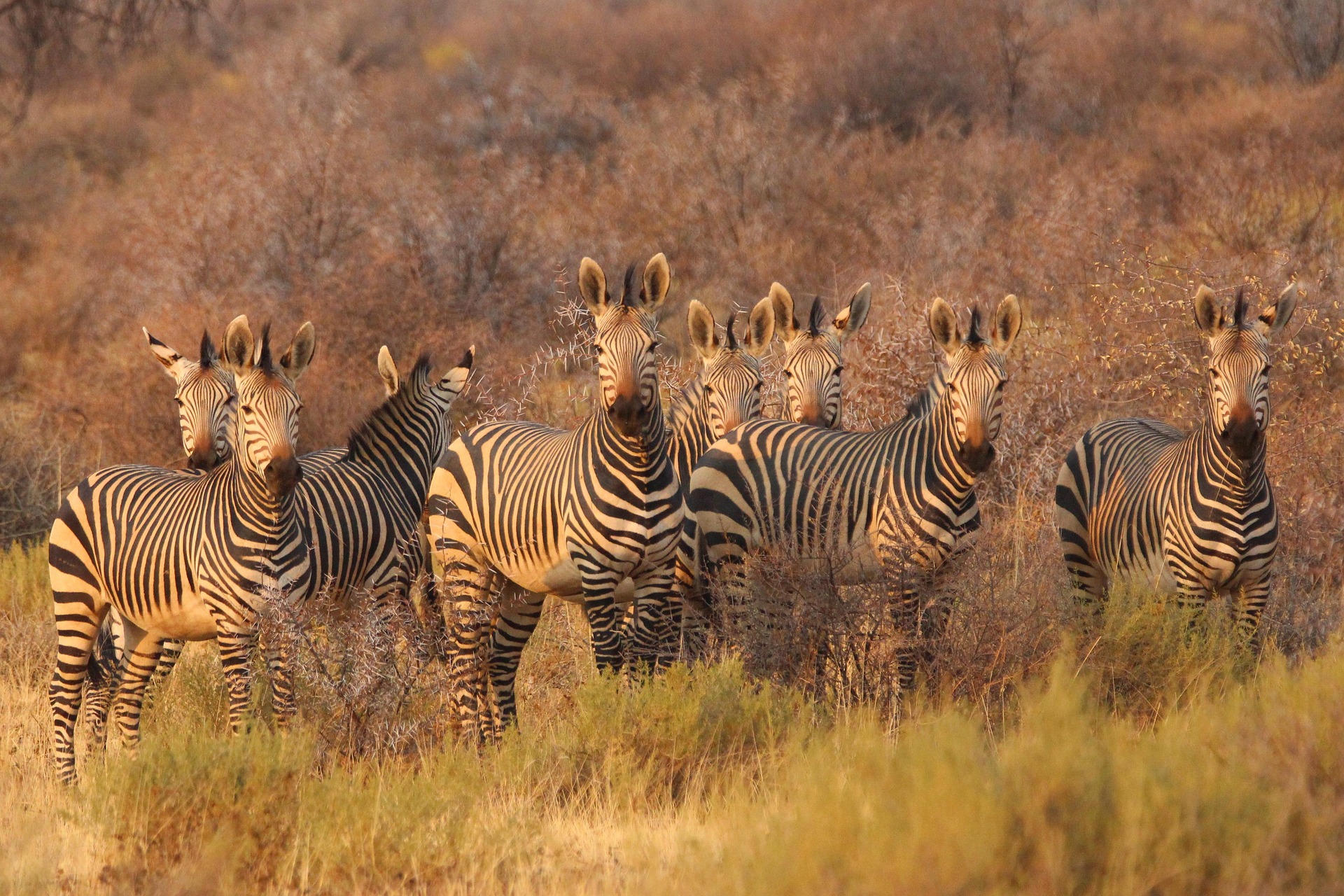 Namibia, Botswana & Simbabwe